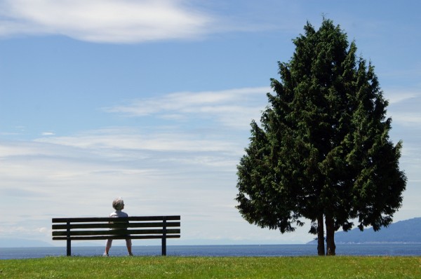 boy and tree